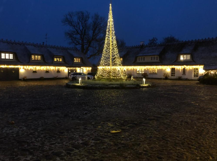 Rane Ladegaard, Denmark